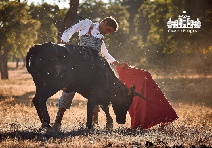 20180726 TENTADERO ROSA RODRIGUES.FH0076