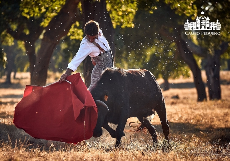 20180726 TENTADERO ROSA RODRIGUES.FH0089