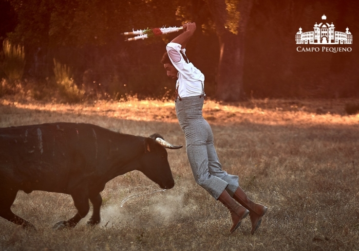 20180726 TENTADERO ROSA RODRIGUES.FH0160
