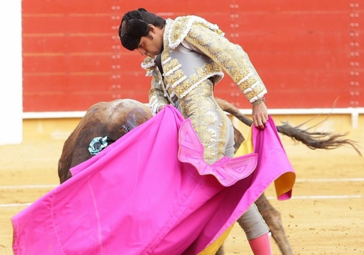 MIGUEL ANGEL PEREIRA
