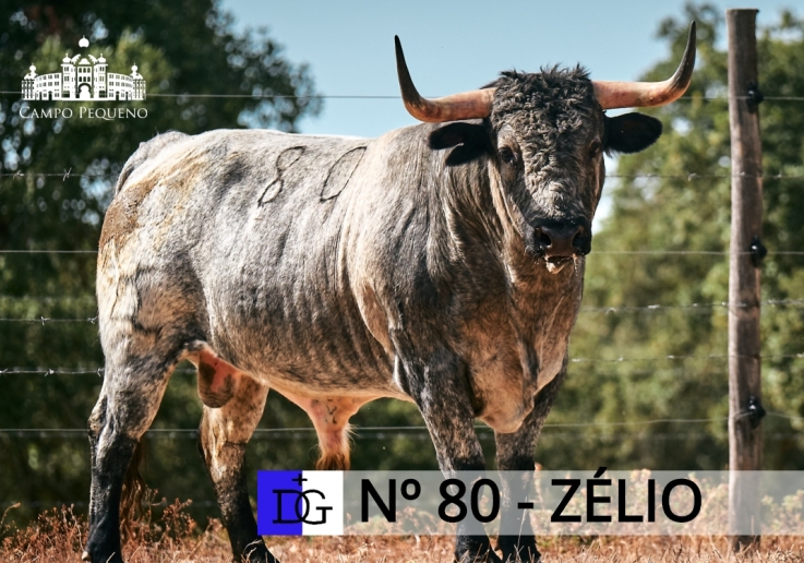 80 - ZÉLIO VS