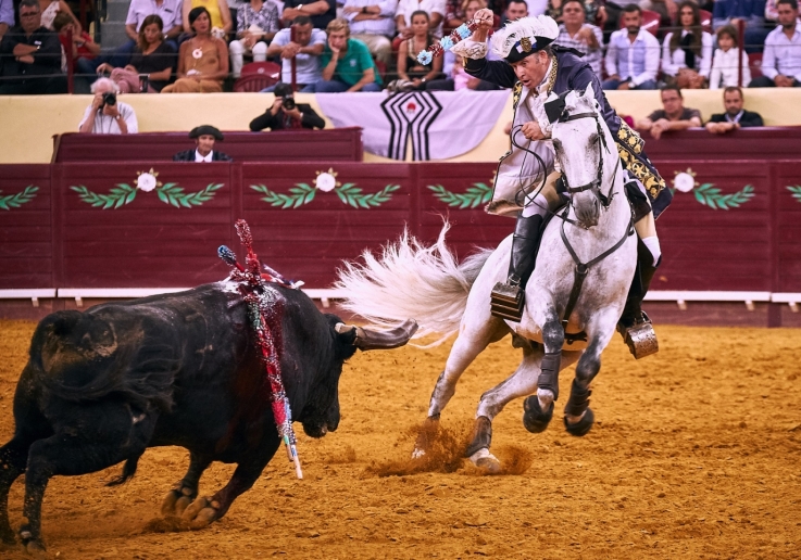 António Ribeiro Telles (2)