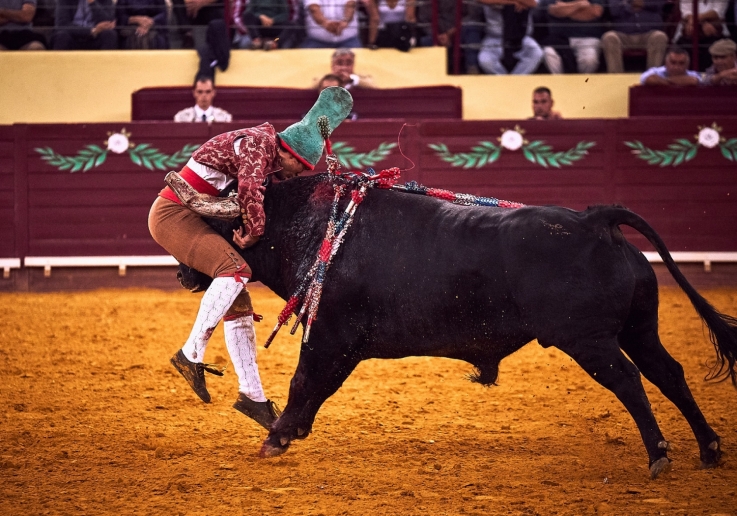 FORCADOS VILA FRANCA SITE