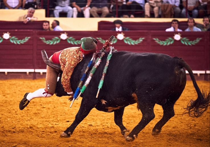 FORCADOS ÉVORA SITE