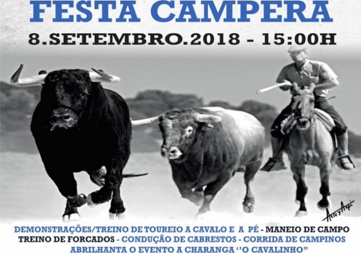 Festa Campera 2018 - Academia de Toureio Campo Pequeno