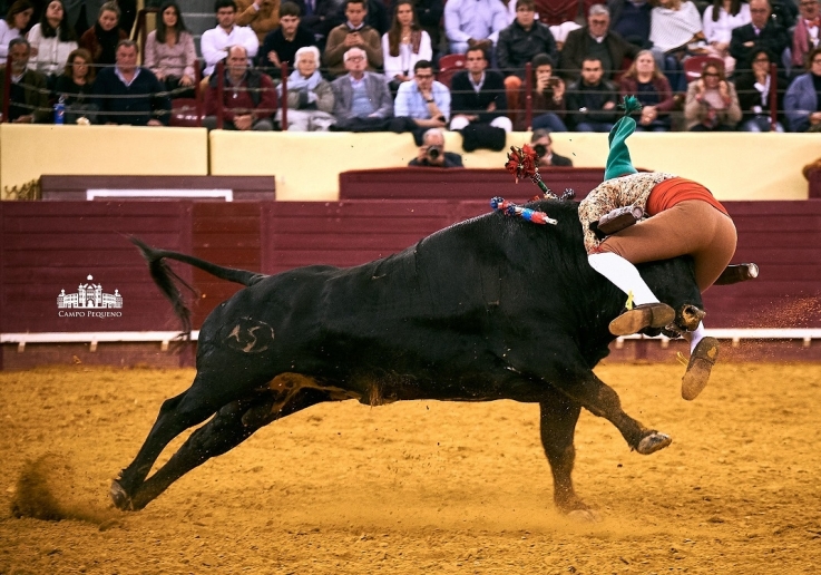 20180405 CPQCORRIDAFH0210