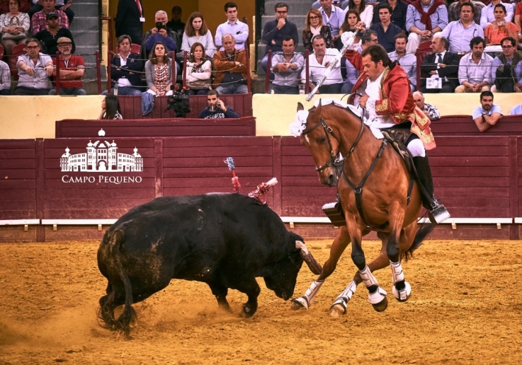 XI CORRIDA VIDAS - 17 MAIO 2018 (42)