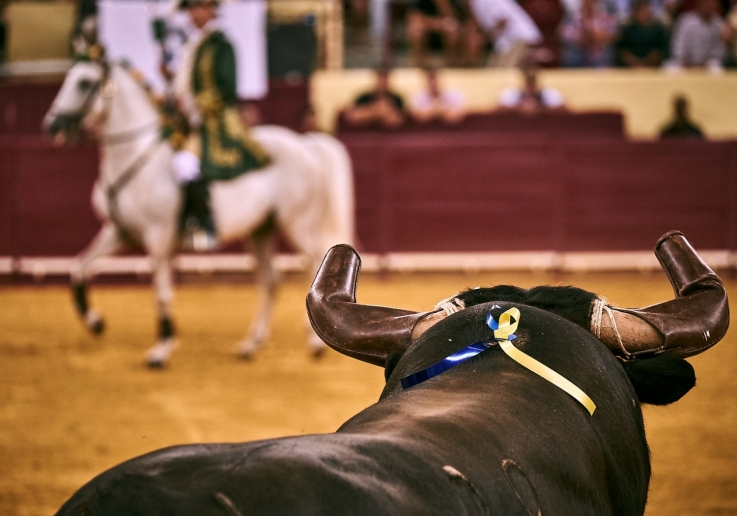 20180824 CPQ CORRIDA.FH0009 NL