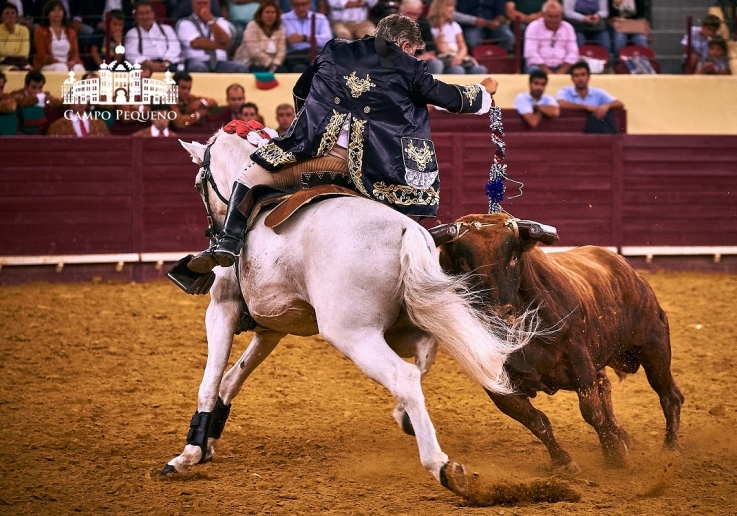 CORRIDA 6 SET 2018 (47)