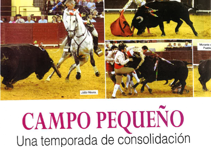 CP 6toros6