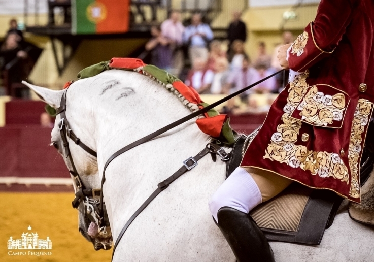 Cavalo