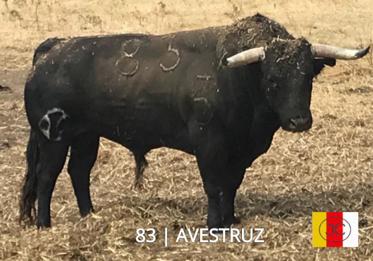 83_Avestruz c_ ferro e nome