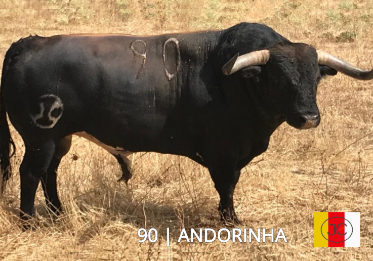 90_Andorinha c_ ferro e nome