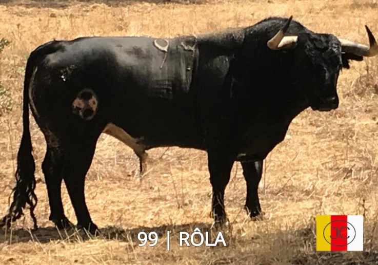99_Rôla c_ ferro e nome