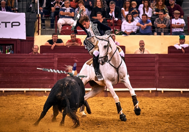 Francisco Palha