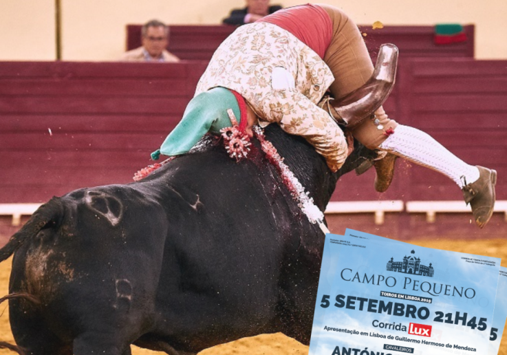 Post FB CP 5 Setembro - FB Forcados Alcochete