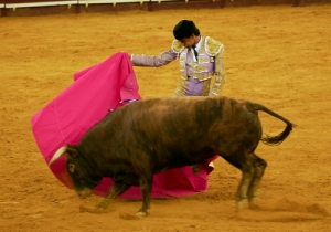Matadores Campo Pequeno 04