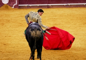 Matadores Campo Pequeno 23