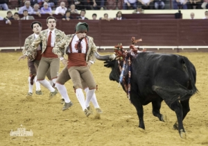 ABERTURA DA TEMPORADA. CORRIDA VIDAS/CM 43