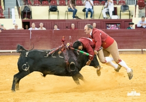 CPQ_3595