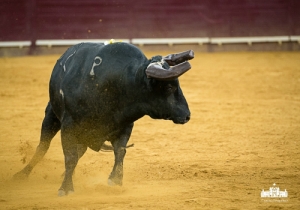 CPQ_3512