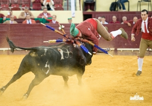 CPQ_3935