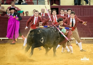 CPQ_9508