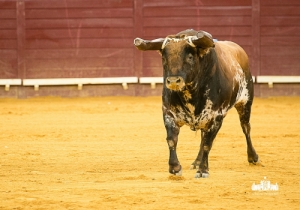 CPQ_1695