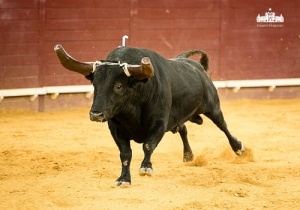 CPQ_1778