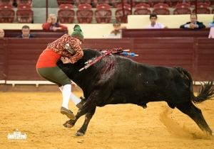 CPQ_2114