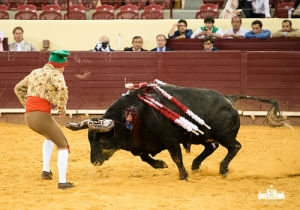 CPQ_2342