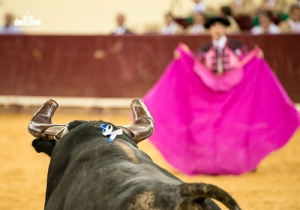 CPQ_2266