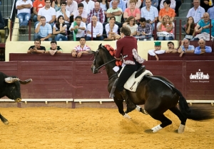 CPQ_3003