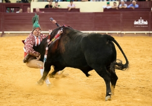 CPQ_3131