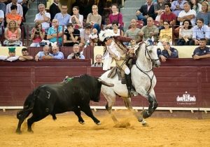 CPQ_3186