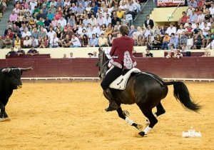 CPQ_3295