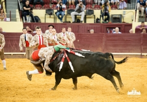 CPQ_3146