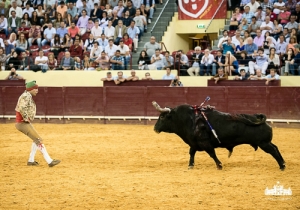 CPQ_3253