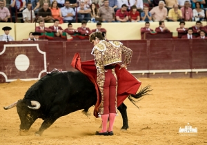 CPQ_4569
