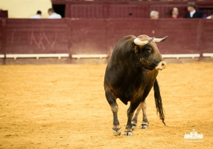 CPQ_4742