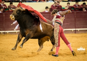CPQ_4784