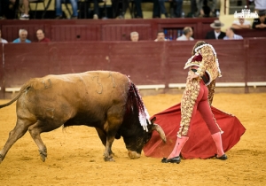 CPQ_4811