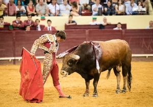 CPQ_4874