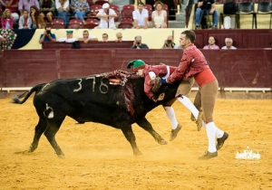 CPQ_8425