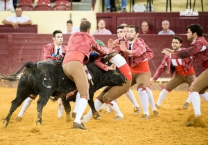 CPQ_8616