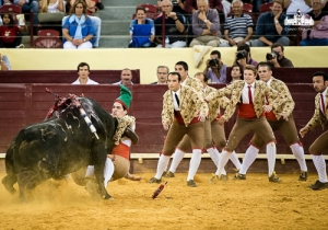 CPQ_8700