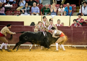 CPQ_8703