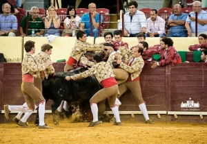 CPQ_8705