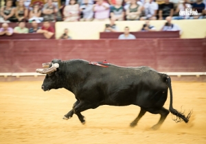 CPQ_9311