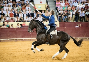 CPQ_9333